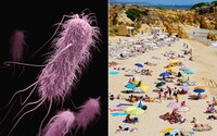 Desítky pláží v severní Itálii jsou zavřené, v moři platí zákaz koupání kvůli E. coli