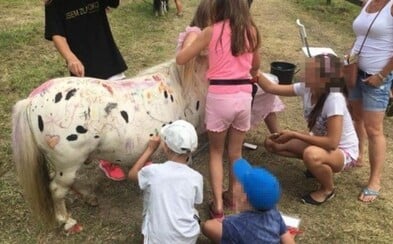 Děti na festivalu čmáraly po poníkovi, který musel celý den stát na místě, zatímco rodiče jen přihlíželi Děti na festivalu čmáraly po poníkovi, který musel celý den stát na místě, zatímco rodiče jen přihlíželi