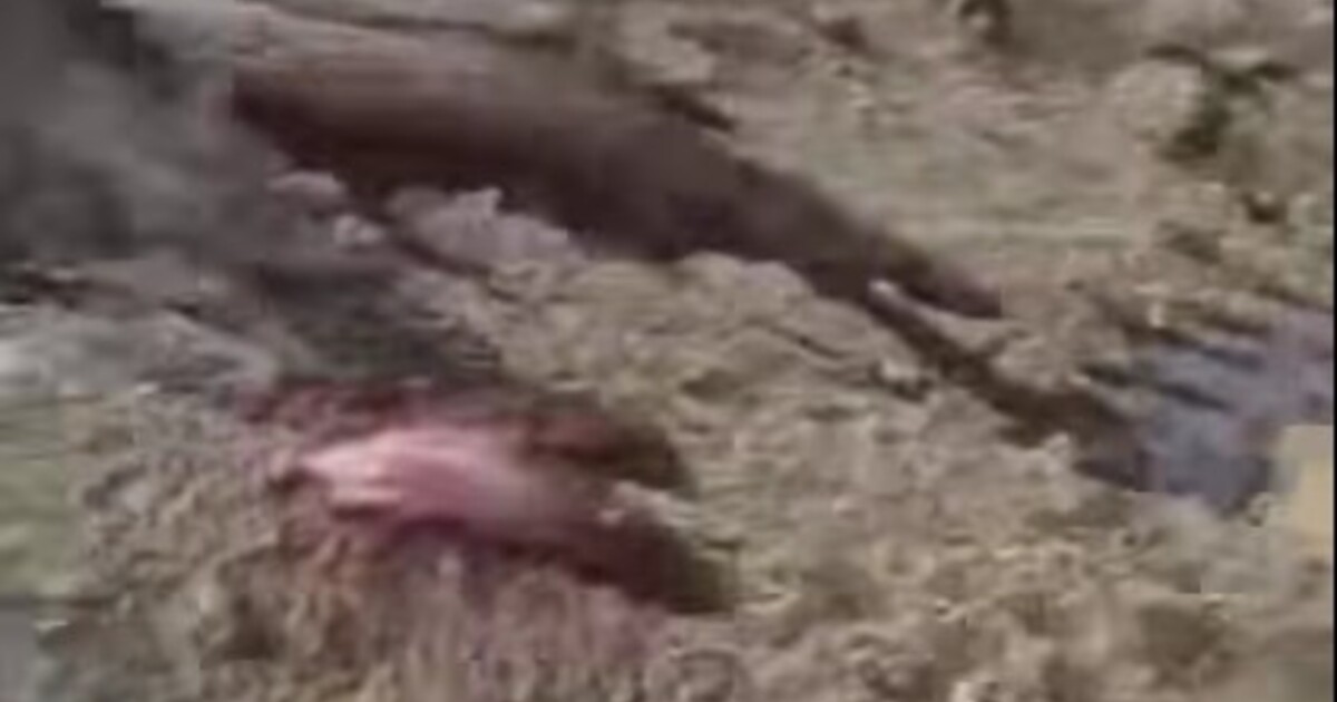 Ze země v Maďarsku teče krev. Lidé se bojí o vodu