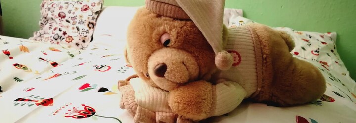 Slováci si v malej dedinke na východe otvorili prvý spánkový rezort na svete. Dobrú noc v ňom dávajú líšky