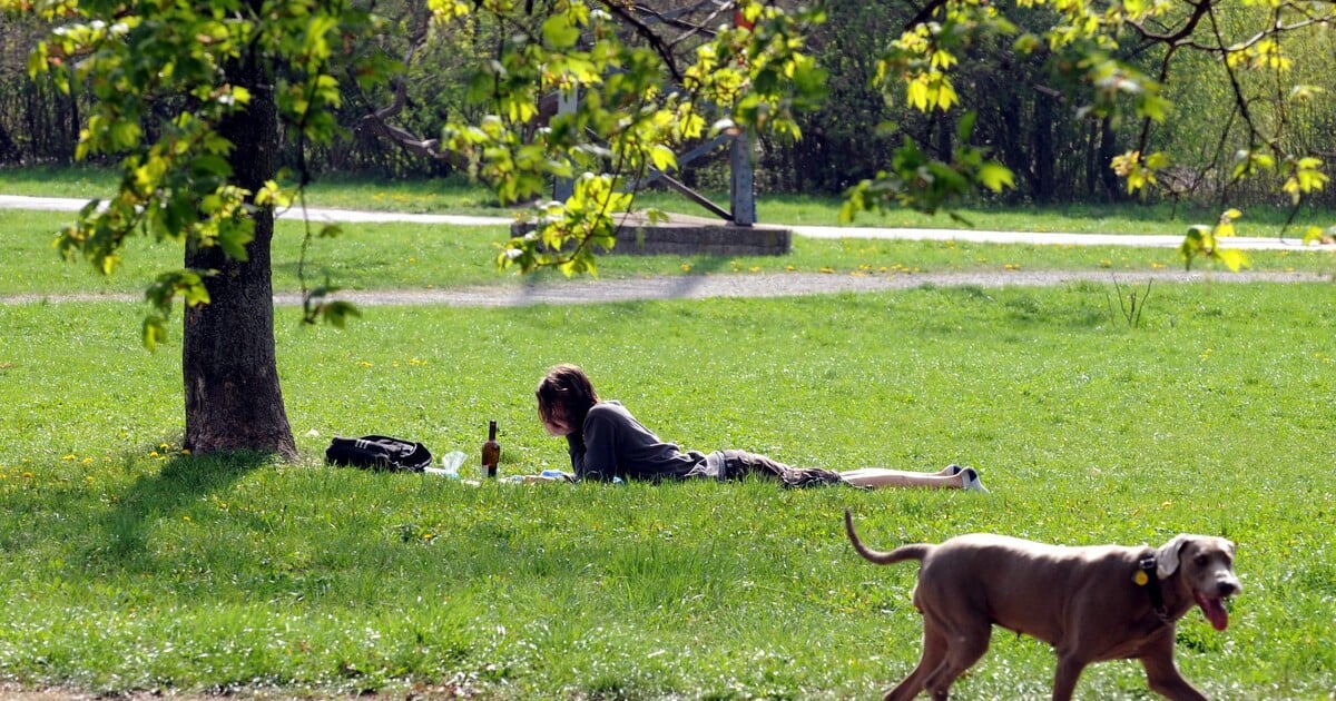 Jak bude o víkendu: V sobotu déšť, v neděli si užijeme sluníčka