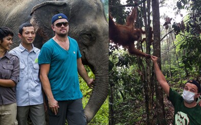 DiCaprio nezůstává jen u prázdných řečí. Planetě a zvířatům pomáhá vlastníma rukama a penězi DiCaprio nezůstává jen u prázdných řečí. Planetě a zvířatům pomáhá vlastníma rukama a penězi