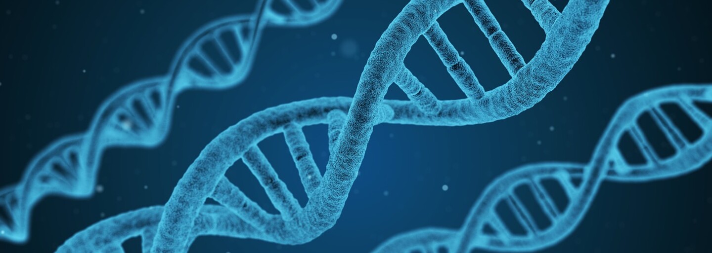DNA afrického kmene se neshoduje se žádným známým lidským předkem. Vědci zkoumají původ genetiky duchů