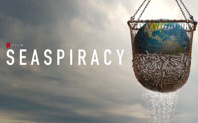 Dokument Seaspiracy: 5 bombastických tvrdení sme overili s odborníkmi – je všetko naozaj pravda? Dokument Seaspiracy: 5 bombastických tvrdení sme overili s odborníkmi – je všetko naozaj pravda?