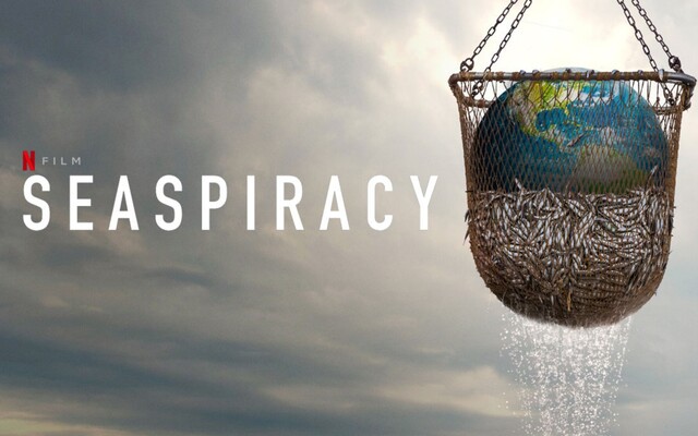 Dokument Seaspiracy: 5 bombastických tvrzení jsme ověřili s odborníky – je vše opravdu pravda? Dokument Seaspiracy: 5 bombastických tvrzení jsme ověřili s odborníky – je vše opravdu pravda?