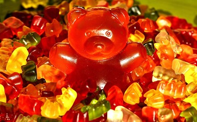 Dokument ukazuje, jak se opravdu vyrábějí gumoví medvídci Haribo. Krutým podmínkám mají čelit lidé i zvířata Dokument ukazuje, jak se opravdu vyrábějí gumoví medvídci Haribo. Krutým podmínkám mají čelit lidé i zvířata