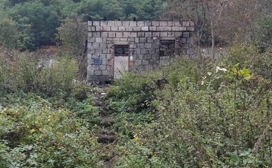 Dva muži z Brna zapálili domek se čtyřmi psy kvůli dvěma rostlinám marihuany Dva muži z Brna zapálili domek se čtyřmi psy kvůli dvěma rostlinám marihuany