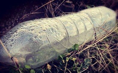 Dvaja chlapci vo veku 11 a 13 rokov sa otrávili neznámou látkou, zomreli v nemocnici Dvaja chlapci vo veku 11 a 13 rokov sa otrávili neznámou látkou, zomreli v nemocnici