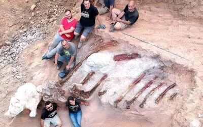 V Portugalsku našli 25 metrů dlouhou kostru dinosaura starou 150 milionů let.