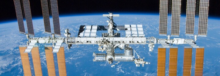 Ve vesmíru vykvetla první květina! Astronauti se podělili o historický moment z paluby stanice