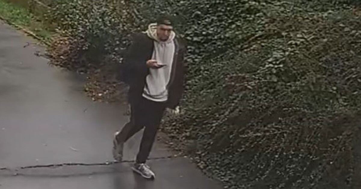 VIDEO: Bezvládného muže si vyfotil a šel dál, zraněný zemřel. Policie hledá svědka, kterého zachytily kamery