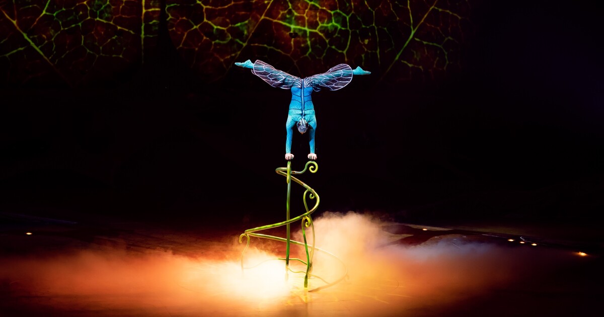 Obrazem: Podívej se na neuvěřitelné kreace slavného Cirque de Soleil. Do Prahy přijel s hmyzí akrobacií