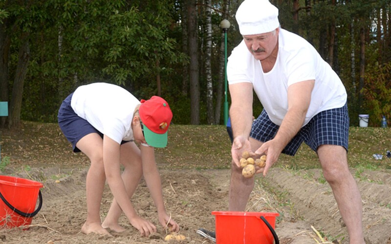 Lukašenko žádá bramborovou mobilizaci. Na pole by vyhnal studenty.