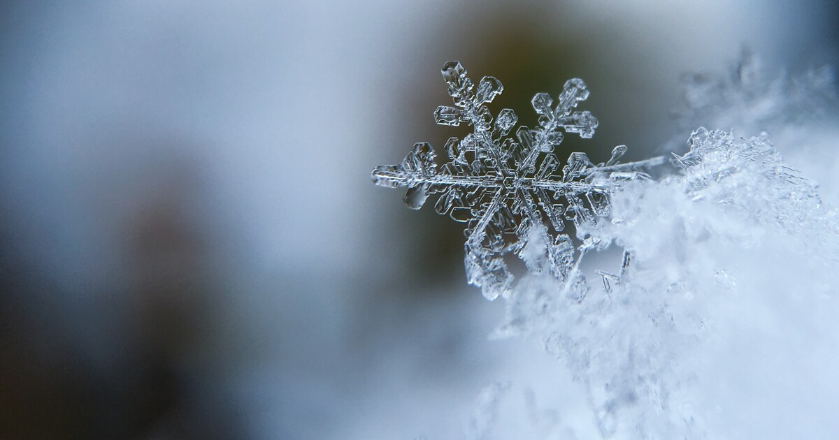 Letošní zima bude kvůli El Niñu extrémní: Modely odhalily, jestli budou v Česku Vánoce na sněhu