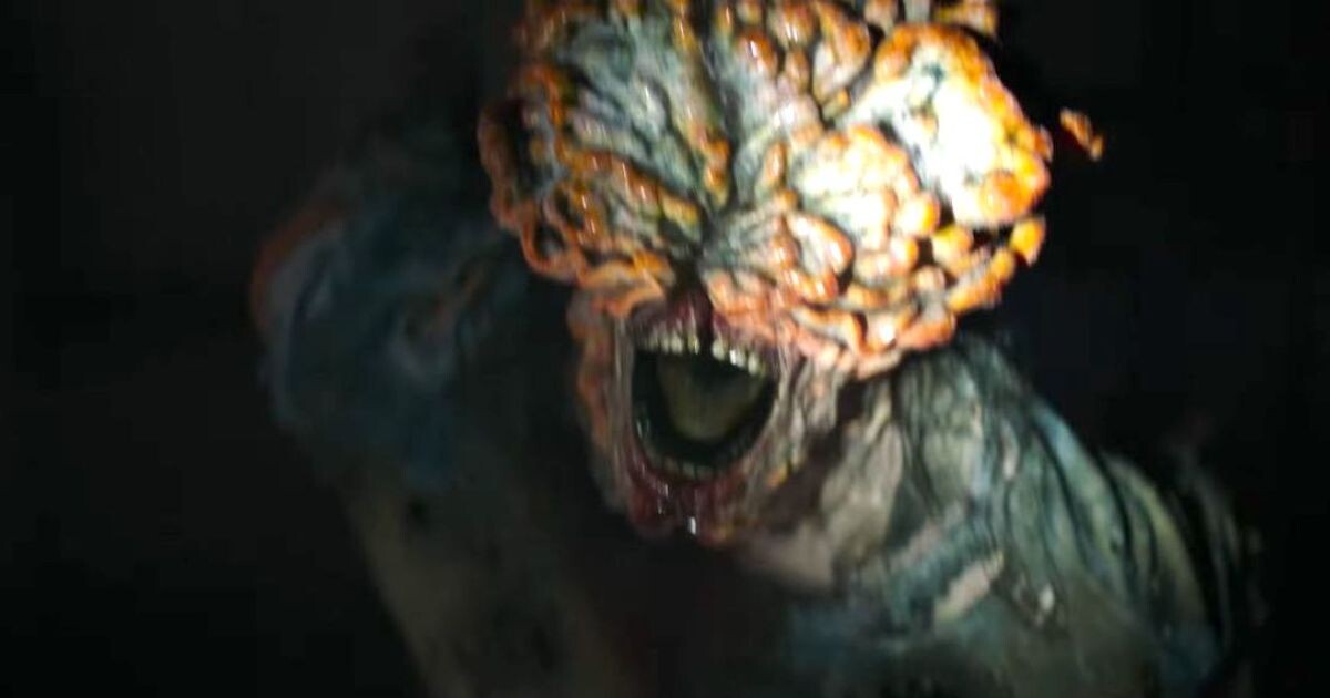 V Evropě se šíří nebezpečná houba jako z The Last of Us. Ohrožuje pacienty v nemocnicích