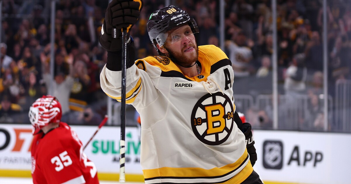 Sportovec roku: Ve finále nechybí Pastrňák nebo Vondroušová. Hlasuj, kdo by měl vyhrát