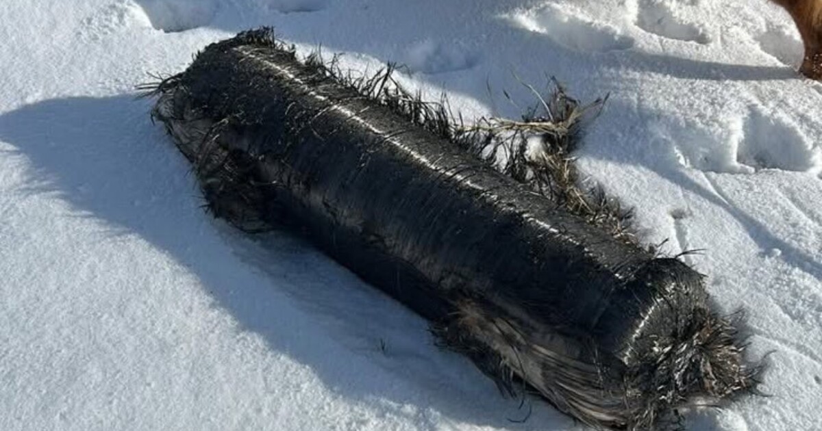 Trosky rakety SpaceX dopadly do obydlené části Polska. Nikdo nebyl zraněn