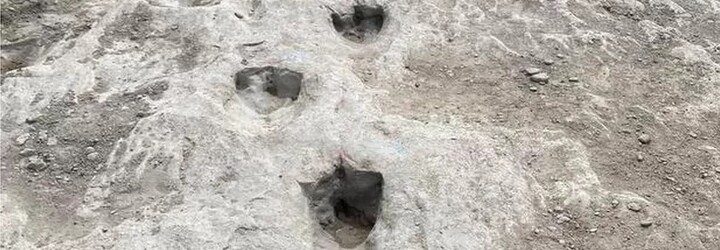 VIDEO: Dinosauří stopy staré více než 110 milionů let byly objeveny ve vyschlé řece v Texasu