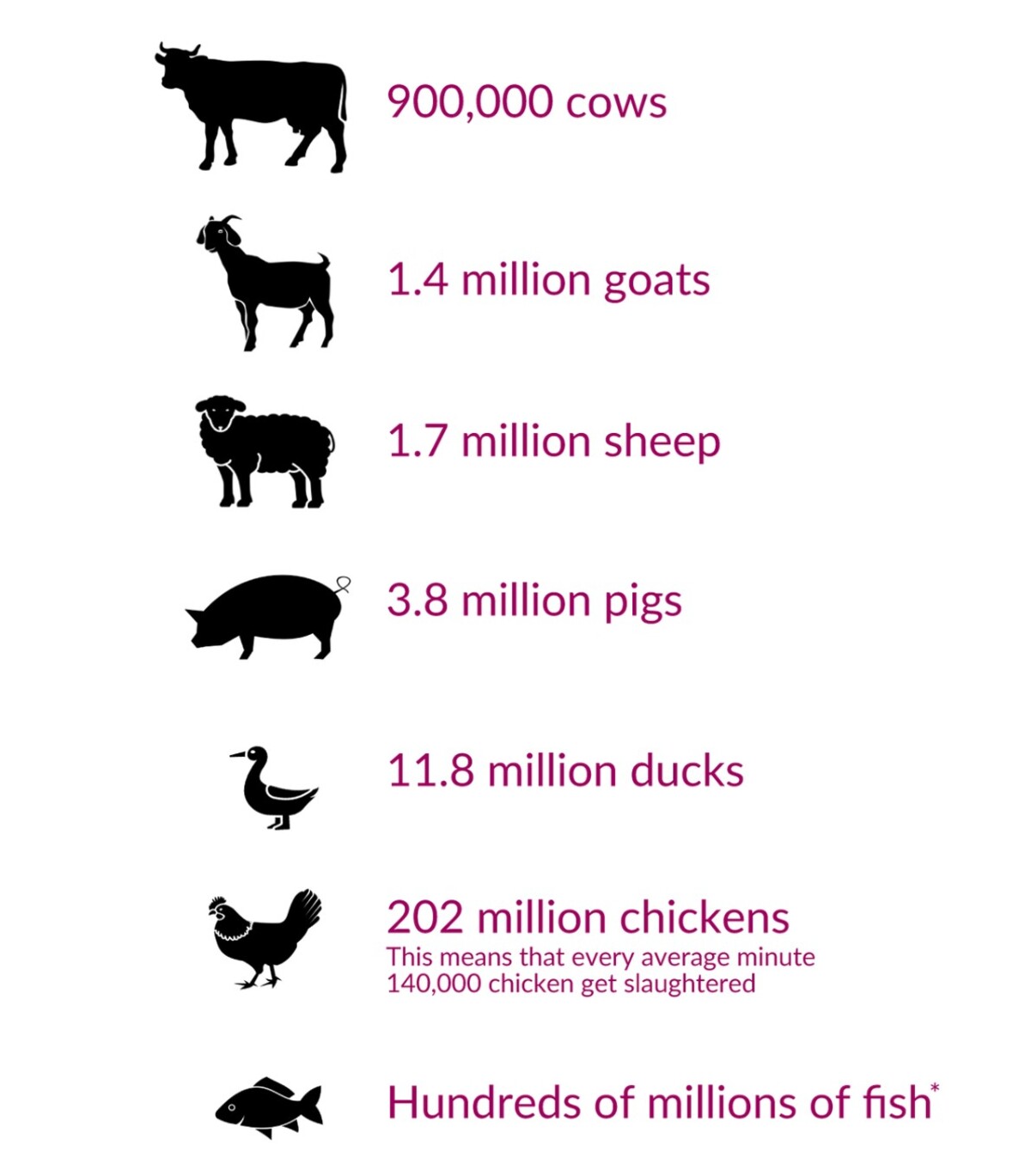 Počet zabitých zvířat denně.
