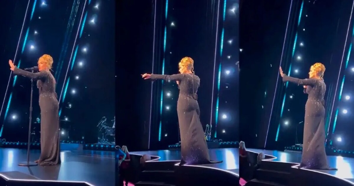VIDEO: „Proč ho obtěžujete?“ Adele pozastavila koncert, aby se zastala fanouška