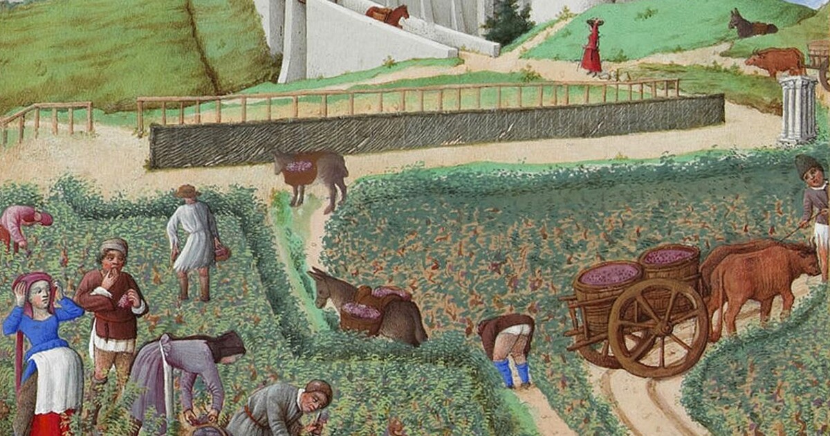 KVÍZ: Napěnožec, ženkýl a harc. Vyznáš se ve staročeských výrazech?