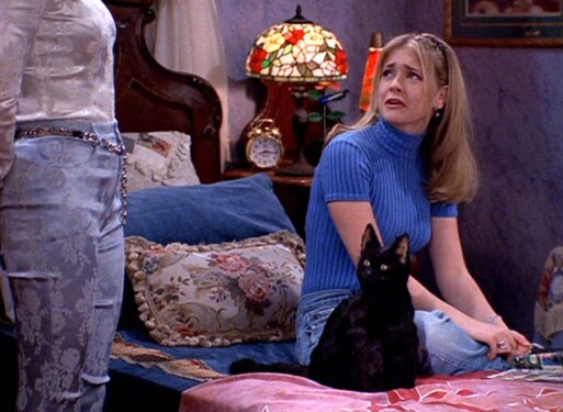 Přesným opakem roztomilé čivavy je tenhle bručoun ze seriálu Sabrina, mladá čarodějnice. Vzpomeneš si na jeho jméno? 