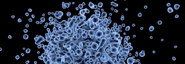 Vědci z Ostravské univerzity objevili tajemný virus. Není podobný žádnému jinému na zeměkouli