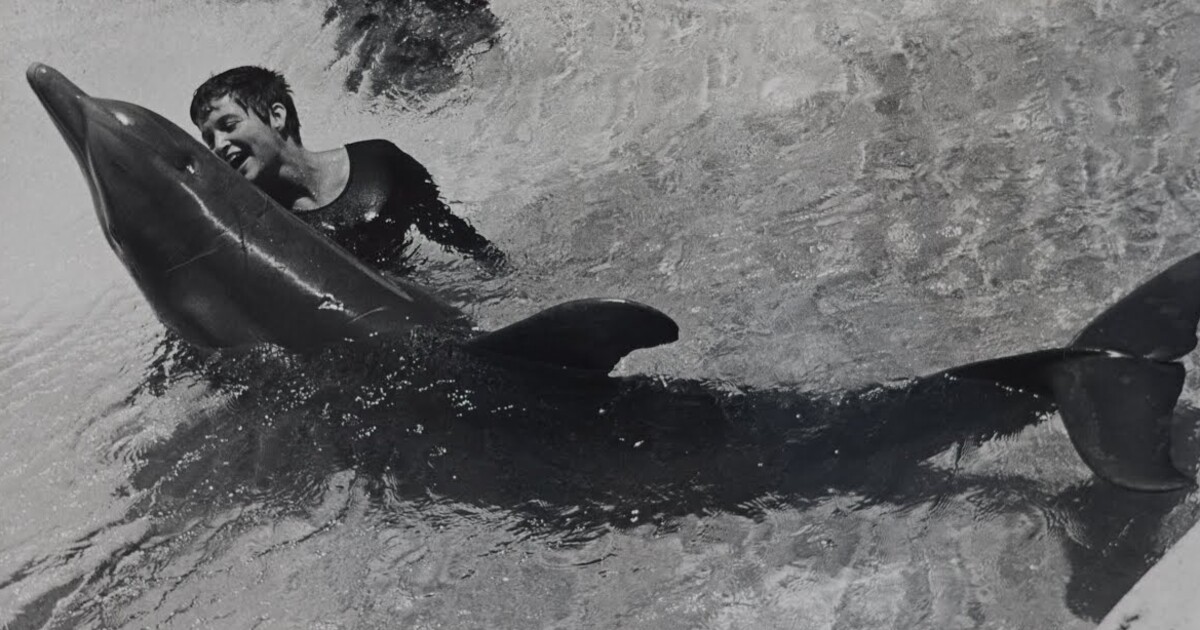 Tajný výzkum spojil mladou ženu a delfína natolik, že měli intimní poměr. Když skončil, zvíře ze smutku spáchalo sebevraždu