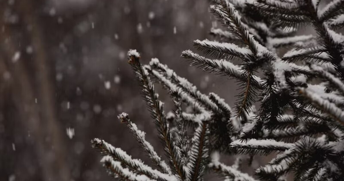 Česko čekají nejchladnější Vánoce za posledních 14 let. Koncem týdne začne mrznout