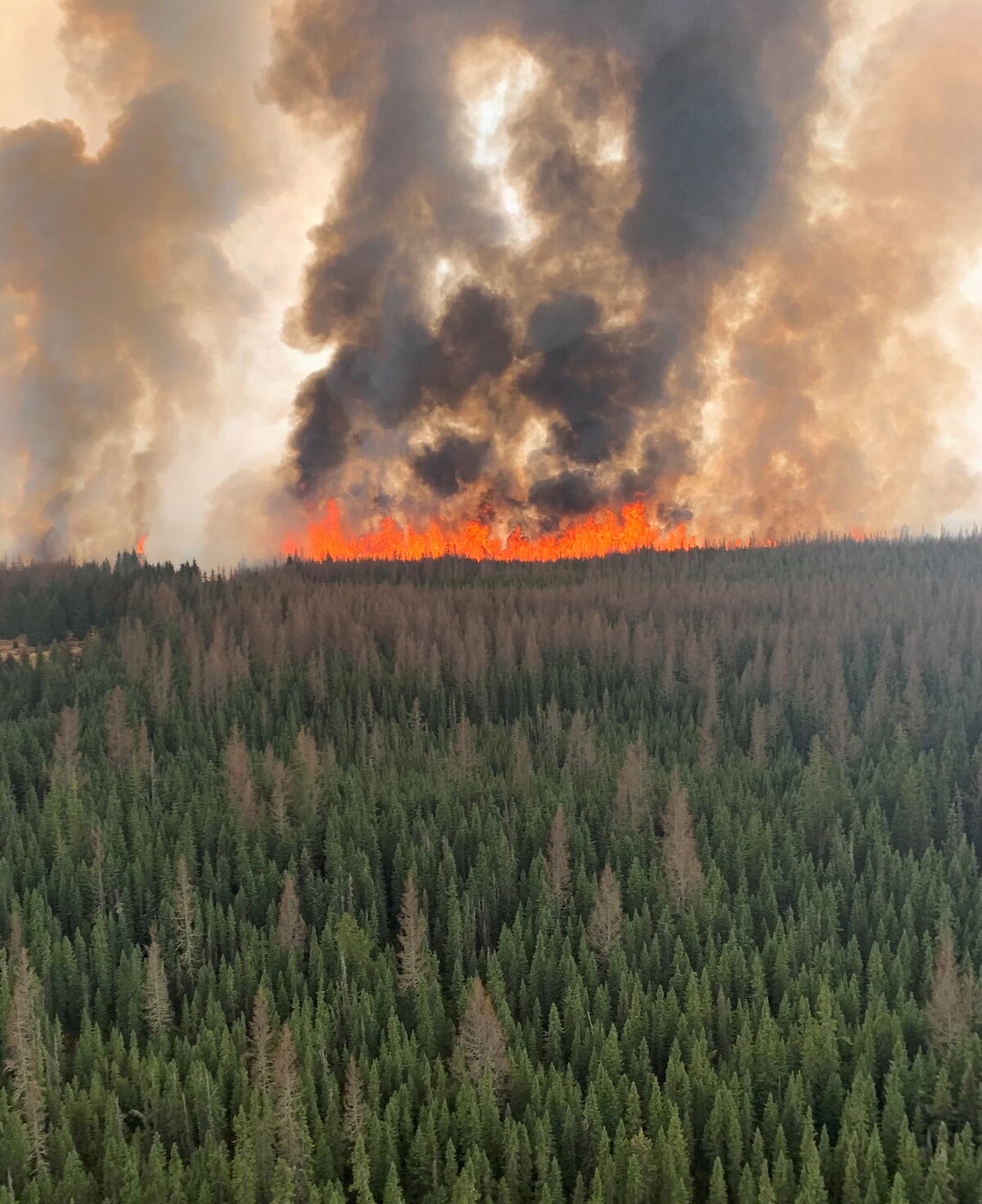 Lesný požiar pri dedinke Evansburg zaznamenaný 1. mája 2023 zasiahol plochu 2,221 ha.
