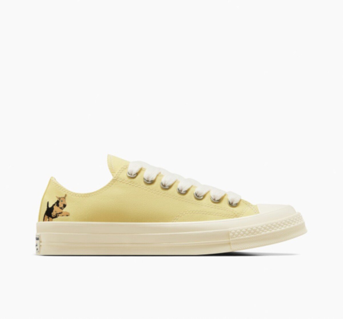 Converse tyler the creator golf le FLEUR