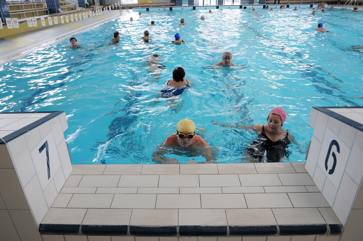 seniori