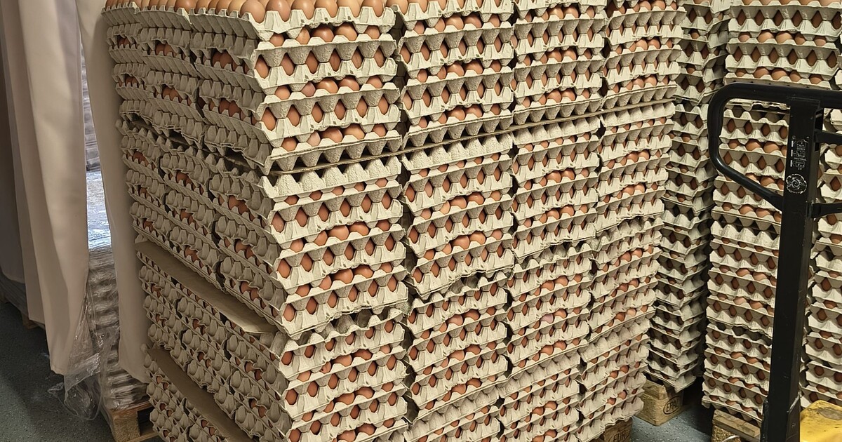 Máš je doma? Z českého trhu zmizí téměř čtvrt milionu vajec, mohou být zdravotně závadná