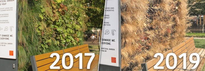 Chytrá ekolavička za 280 tisíc, která měla v Praze snižovat teplotu, uschla. Firma ji přestala zalévat