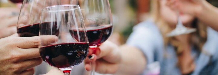 „Mladé“ svatomartinské víno má svá pravidla. První vína nového ročníku jsou ovocitá, vypít se mají do jara