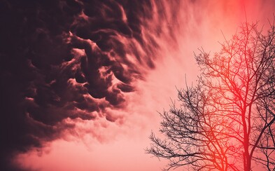 Eco-anxiety is on the Rise and There are Ways How We Can Go About It Eco-anxiety is on the Rise and There are Ways How We Can Go About It