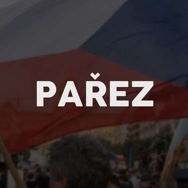 Čo znamená slovo pařez?