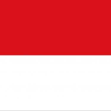 Ktorý štát reprezentuje vlajka na obrázku?