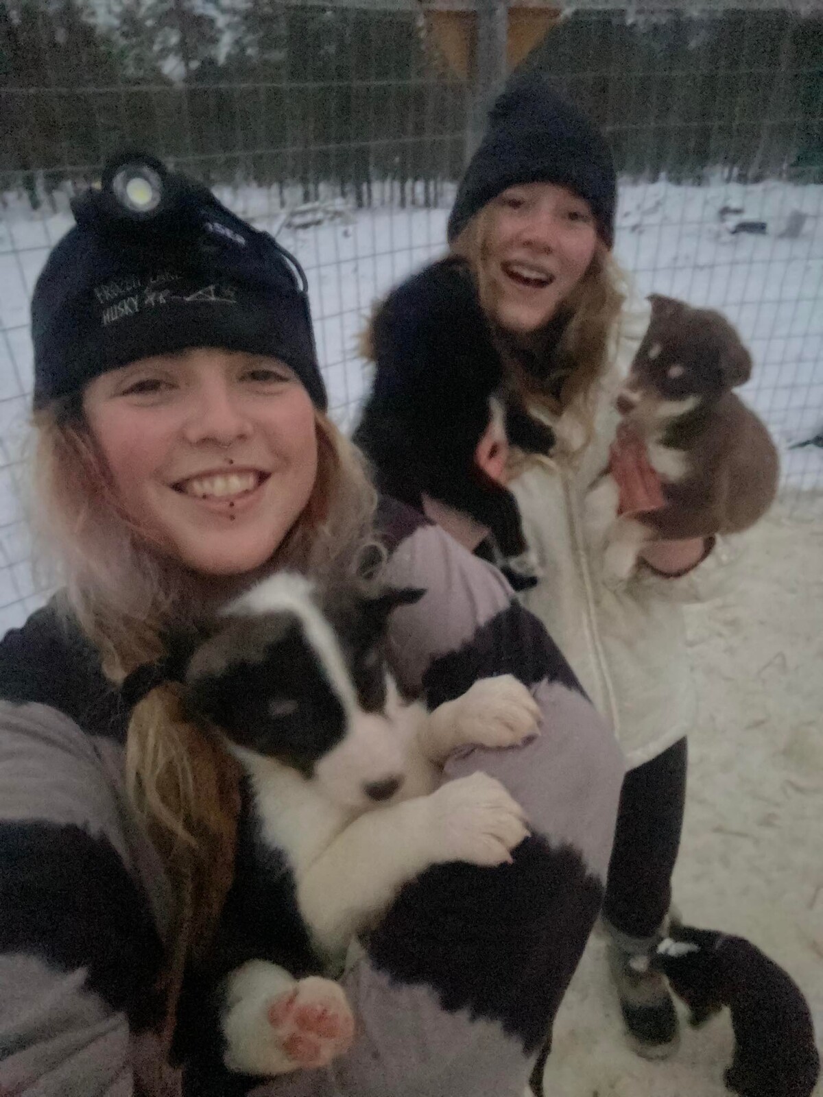 šárka zděnovcová husky farma finsko