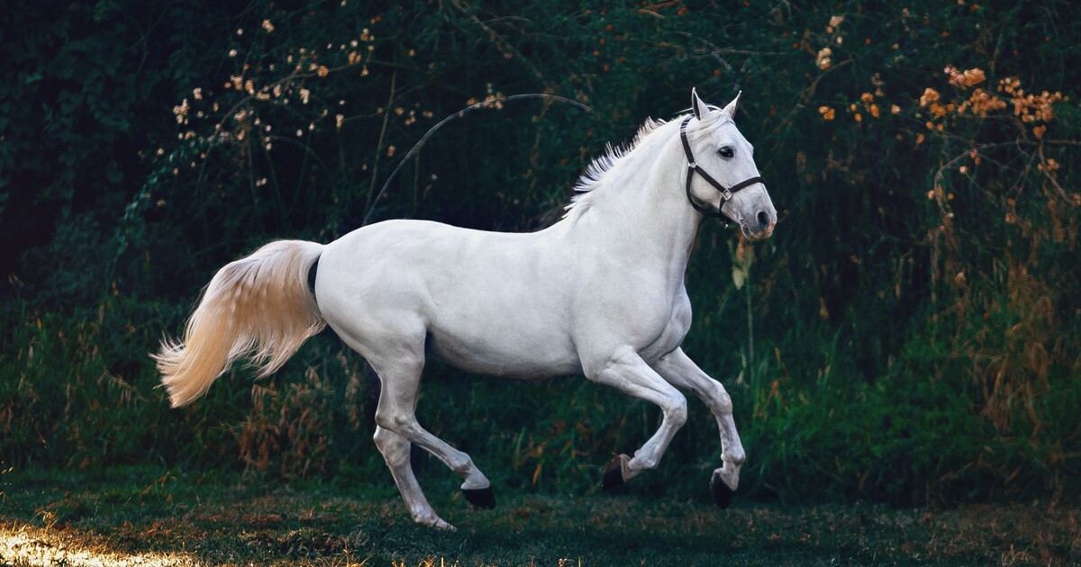 Kvíz: Pamatuješ si ještě staré české báje a pověsti?