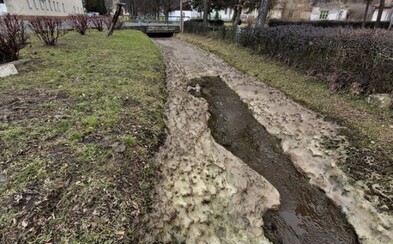 Ekologická havária na juhu Slovenska. Do potoka aj na okolitú pôdu sa vylial bioodpad Ekologická havária na juhu Slovenska. Do potoka aj na okolitú pôdu sa vylial bioodpad