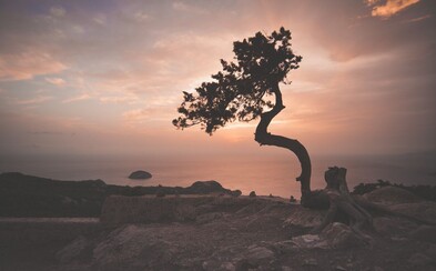 EKOTOPFILM-ENVIROFILM je najstarším festivalom o trvalo udržateľnom rozvoji na svete, ktorý začína svoj ďalší ročník v BA a BB EKOTOPFILM-ENVIROFILM je najstarším festivalom o trvalo udržateľnom rozvoji na svete, ktorý začína svoj ďalší ročník v BA a BB