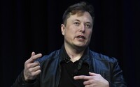 Elon Musk: Pokud McDonald's začne přijímat Dogecoin, sním v televizi Happy Meal