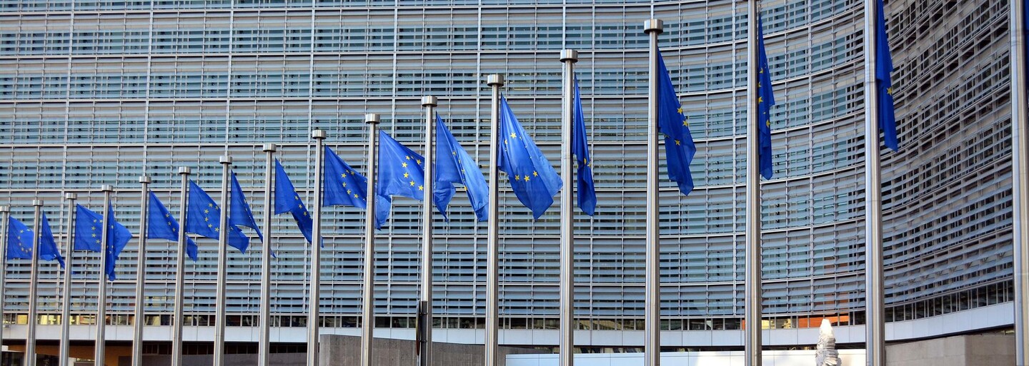 EÚ zakazuje krivé uhorky a zabíjačky, za všetko môže Brusel. TOP 5 mýtov o Európskej únii
