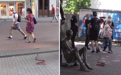 Exploited strašil nič netušiacich ľudí s umelou anakondou. V uliciach vyvolal paniku a nachytal aj policajtov Exploited strašil nič netušiacich ľudí s umelou anakondou. V uliciach vyvolal paniku a nachytal aj policajtov