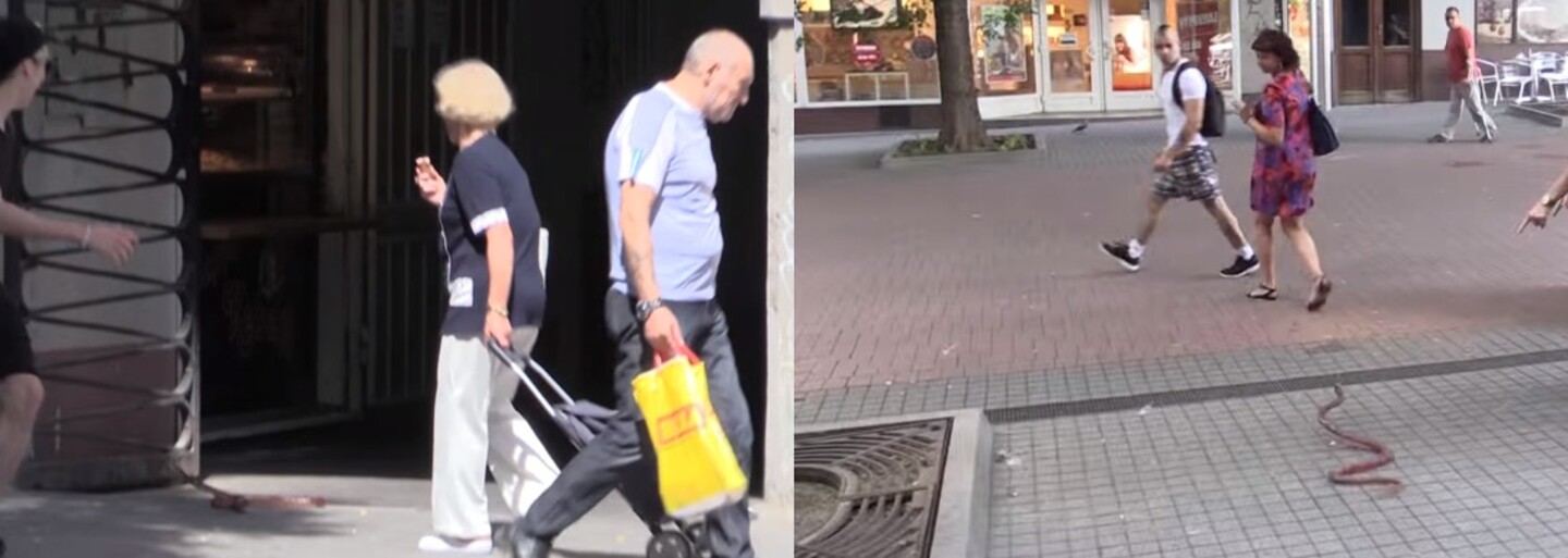 Exploited strašil nič netušiacich ľudí s umelou anakondou. V uliciach vyvolal paniku a nachytal aj policajtov