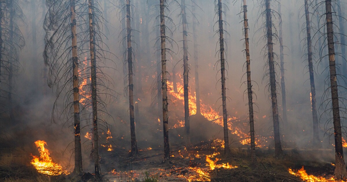 U Pravčické brány v Českém Švýcarsku vypukl požár