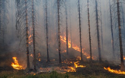Stát uvažuje o pořízení letadla na hašení lesních požárů. Počasí se mění, přiznejme si to, řekl Rakušan.