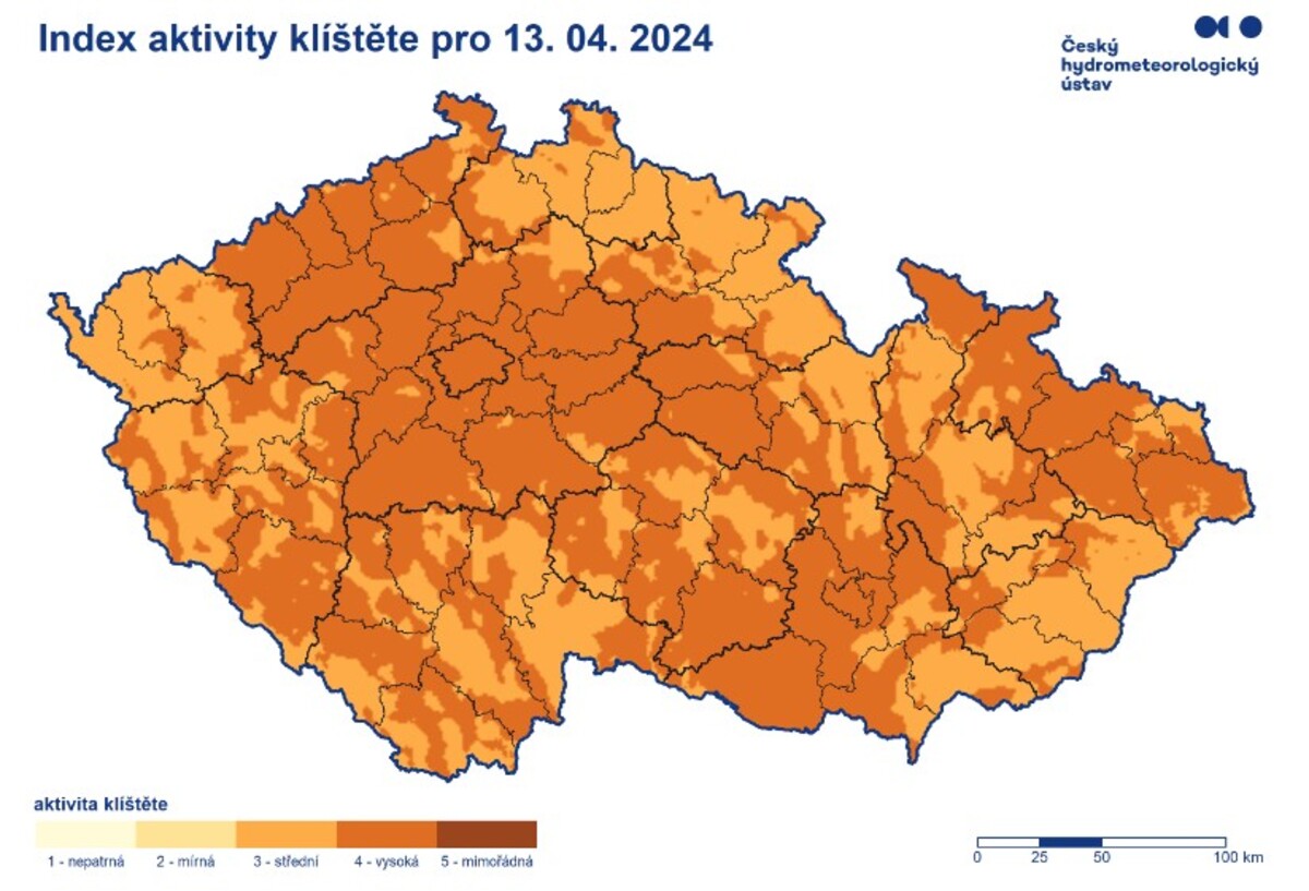 klíště