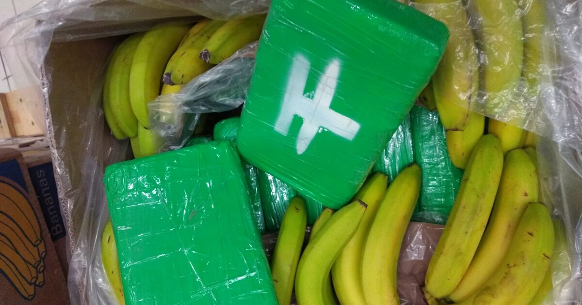 V banánech z Albertu bylo 646 kilo kokainu za dvě miliardy. Balíčky s drogou se našly ve velkoskladu u Prahy